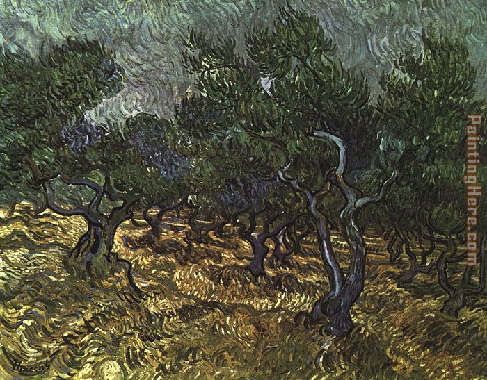 The Olive Grove painting - Vincent van Gogh The Olive Grove art painting